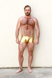 Gold Metallic Euro Shorts