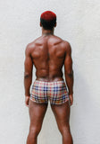 High Fashion Euro Shorts
