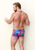 Painted Turtle Euro Shorts